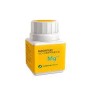 Magnesio botanicapharma 500 mg 100 comp