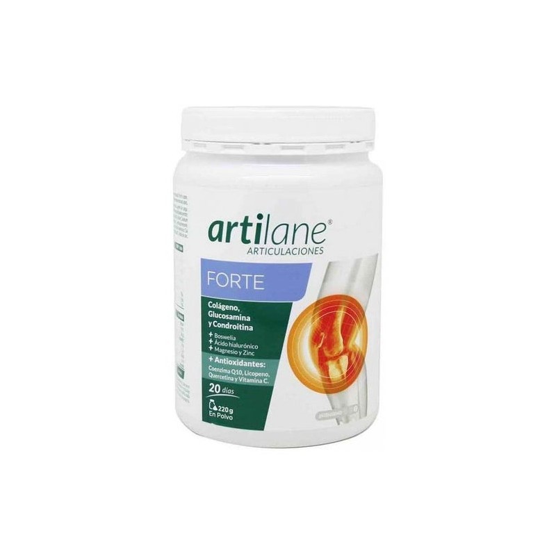 Artilane Forte Polvo 220g