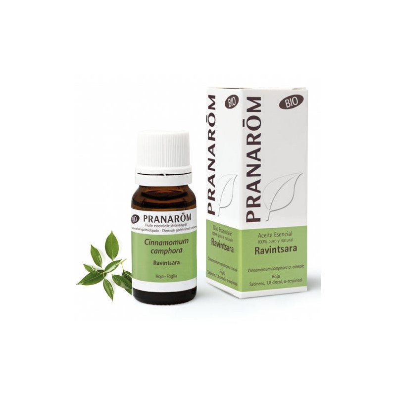 Pranarôm Aceite Esencial de Ravintsara BIO 10ml