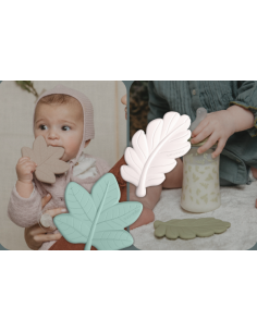 Comprar Mordedor Silicona Suavinex Selection Poetry + 0 Meses 1 Unidad Hoja Bosquea precio de oferta