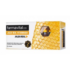 Farmavital jalea real vitaminada 20 viales Farmavital